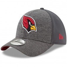 Men's Arizona Cardinals New Era Graphite Shadowed Team 2 39THIRTY Flex Hat 2771603